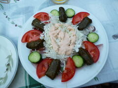 P1000755.JPG