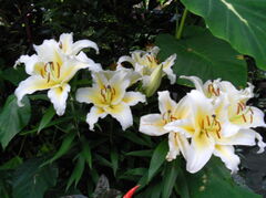 DSCN1591.JPG