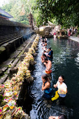 DSCF0285.jpg
