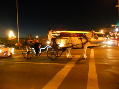 DSCN1342.JPG