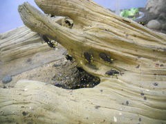 DSCN1431.JPG