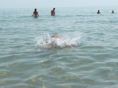 P1000735.JPG