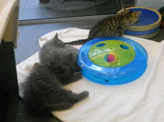 DSCN0525.JPG