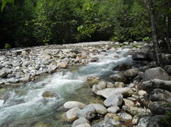 DSCN0808.JPG