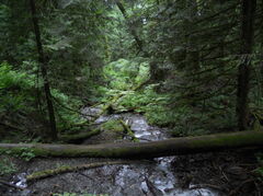 DSCN1793.JPG