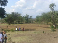 Tanzania 107.jpg