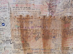 DSCN0155.JPG
