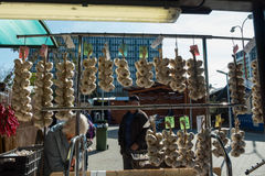 DSCF0802.jpg
