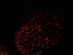 DSCN0751.JPG