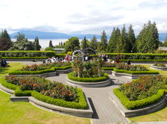 DSCN0134.JPG