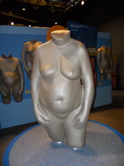 DSCN0169.JPG