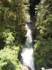 DSCN0788.JPG