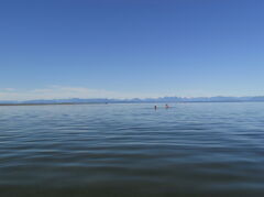 DSCN1186.JPG