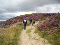 DSCN2224.JPG