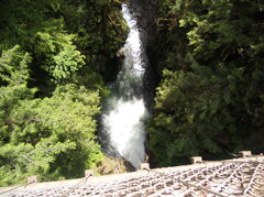 DSCN0789.JPG