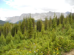 DSCN1968.JPG