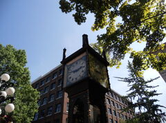 DSCN1517.JPG