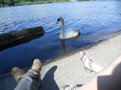 DSCN0871.JPG