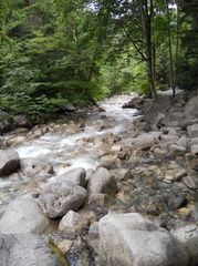 DSCN1641.JPG