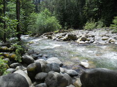 DSCN0803.JPG