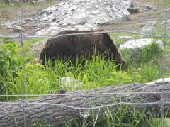 DSCN2133.JPG