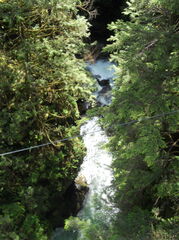 DSCN0783.JPG
