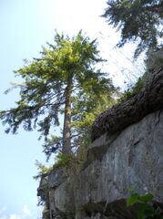 DSCN1490.JPG