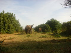 Tanzania 348.jpg