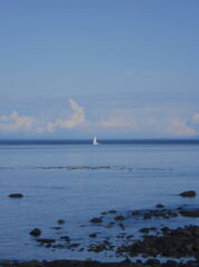 DSCN1020.JPG