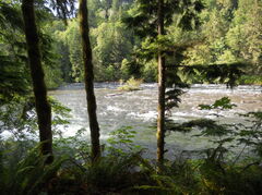 DSCN1086.JPG