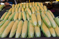 DSCF0798.jpg
