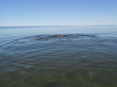 DSCN1188.JPG