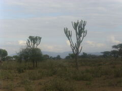 Tanzania 231.jpg