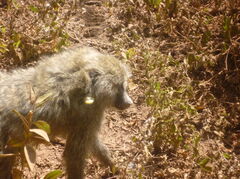 Tanzania 255.jpg