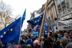 DSCF6571.jpg